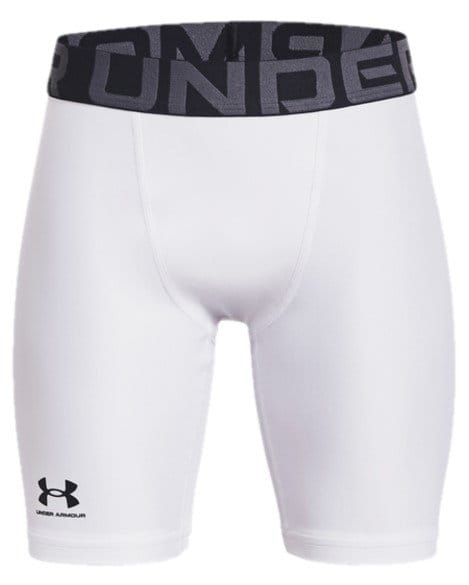 Шорти Under UA HG Armour Shorts